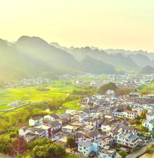 万峰林油菜花的花语是什么意思？它传递了什么情感？