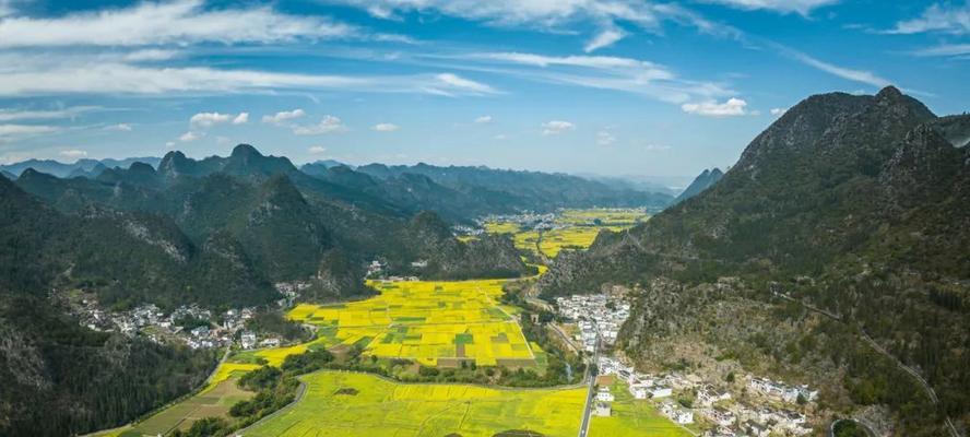 万峰林油菜花的花语是什么意思？它传递了什么情感？