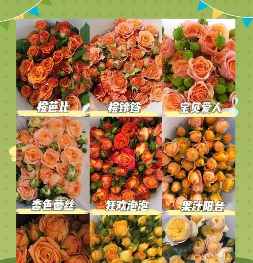 多头玫瑰作为礼物的花语含义？