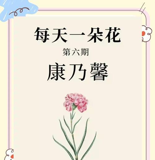 康乃馨花语是什么意思？它如何表达情感？