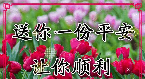 “很幸运与你相遇”花语代表什么？