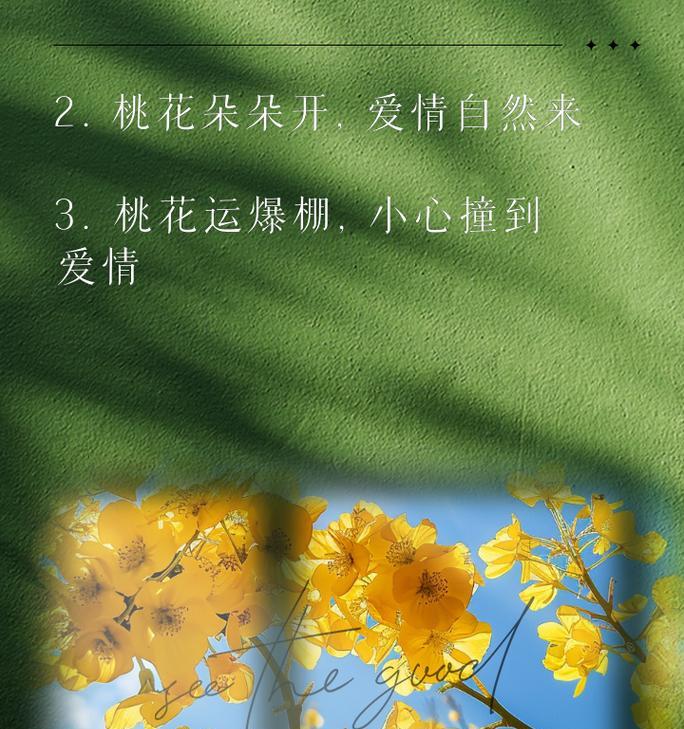 哪些花语能招来桃花运？它们有何特别之处？