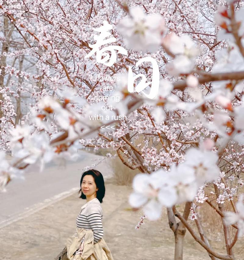 茶米花的花语有何特别含义？