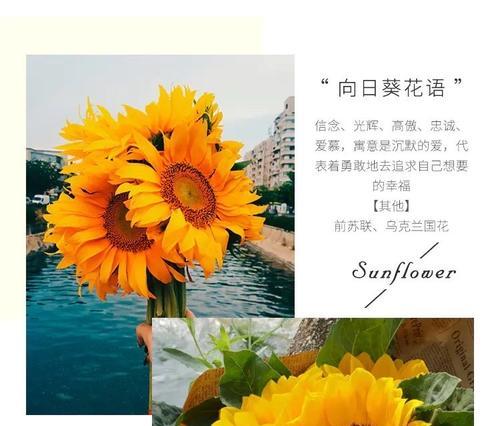 决战平安京中的花语寓意是什么？如何解读？