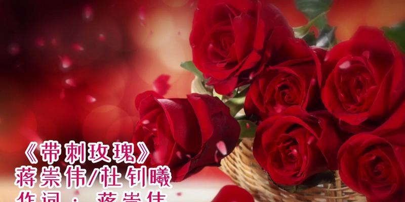 带刺玫瑰代表的自我保护含义是什么？