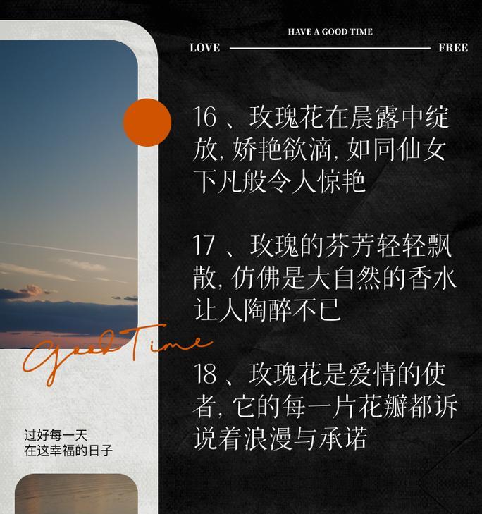 名扬玫瑰的花语有哪些特别之处？