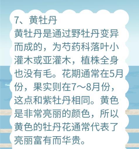 牡丹花的哪种花语更适合女生？