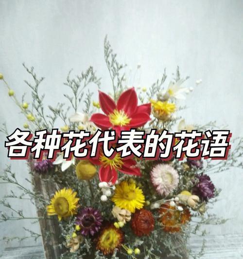 不同花瓣的花语有何不同？它们各自代表什么意义？