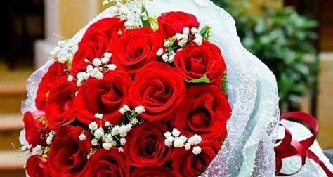 红色积木玫瑰代表什么？它的花语有何特别之处？
