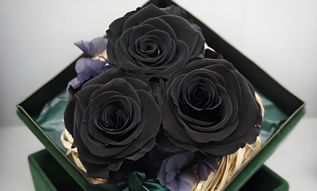 青玫瑰和粉玫瑰的花语有何不同？它们各自代表什么？