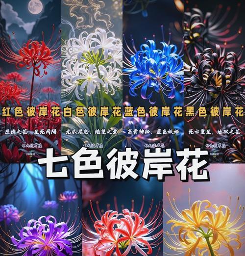绒毛花的花语和寓意有何不同？绒毛花象征着什么？