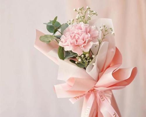 送老师什么花合适？花语如何表达敬爱？