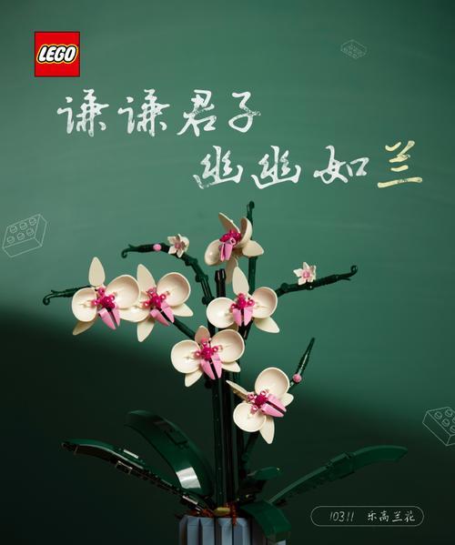 送老师什么花合适？花语如何表达敬爱？
