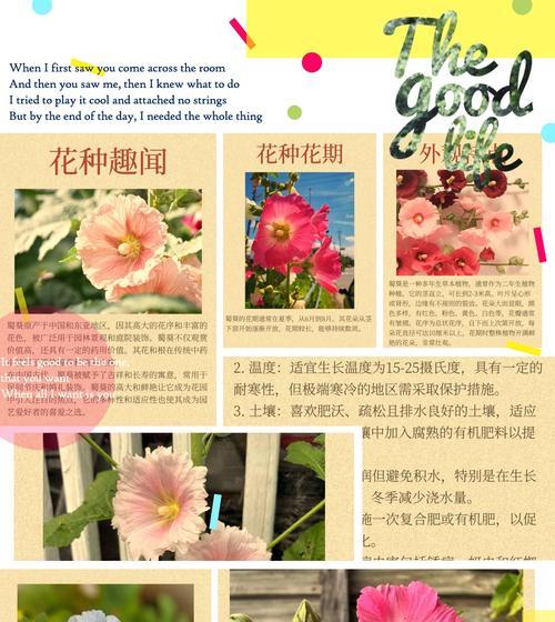 喜欢遮阳的花语是什么意思？这种花的特性如何体现在花语中？