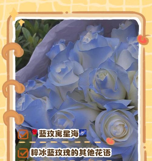 深蓝到浅蓝玫瑰的花语有何不同？玫瑰花由深蓝变浅蓝的寓意是什么？