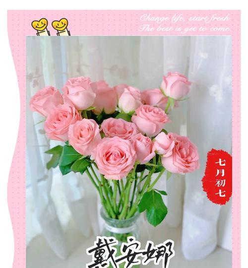 纸巾玫瑰的花语和寓意是什么？