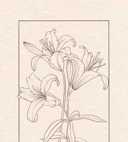 哪种花代表清冷凛冽的花语？