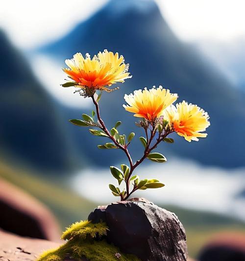 哪种花代表清冷凛冽的花语？