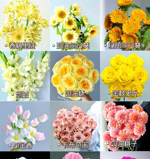 不同数量的鲜花送给朋友有何特别含义？
