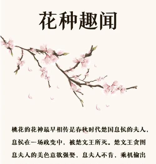 桃花的品种有哪些？桃花的花语是什么？