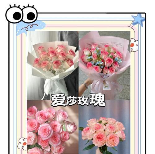 爱莎的花语含义和寓意是什么？爱莎花代表了什么？
