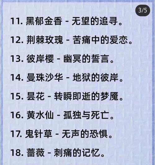 哪种花的花语代表娇弱？
