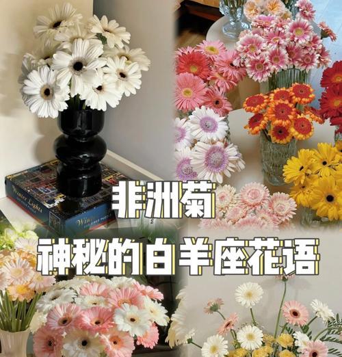 永远快乐花象征着什么？它的花语有哪些含义？