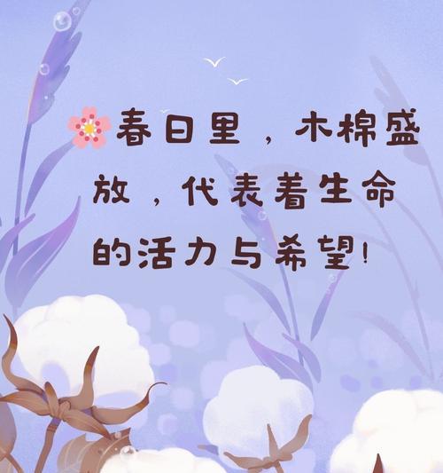 木棉花象征着什么？它的花语有哪些含义？