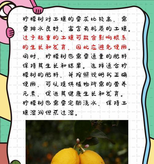 柠檬草的花语寓意有何特别之处？
