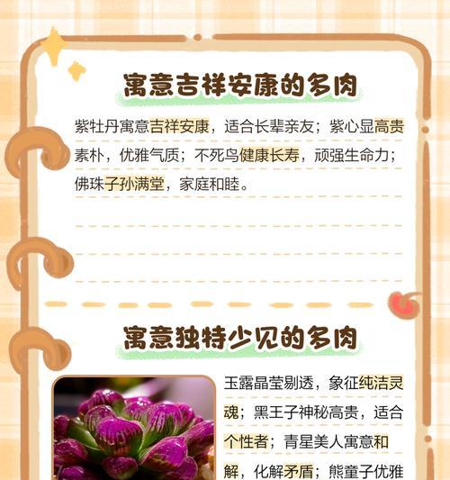 多肉玫瑰的花语和传统玫瑰有何不同？