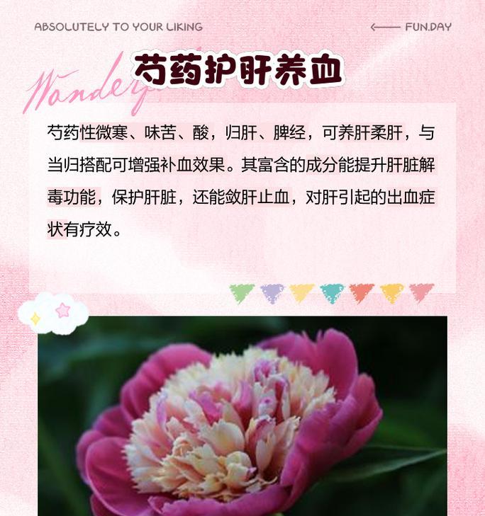 芍药的花语有哪些含义？