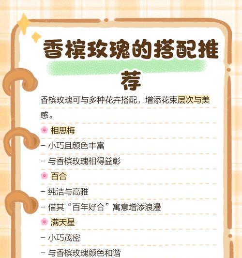 香槟玫瑰的花语代表什么？