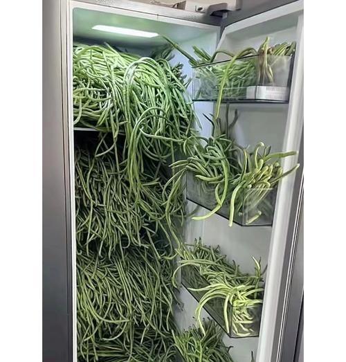 豆橛子的花语有何含义？