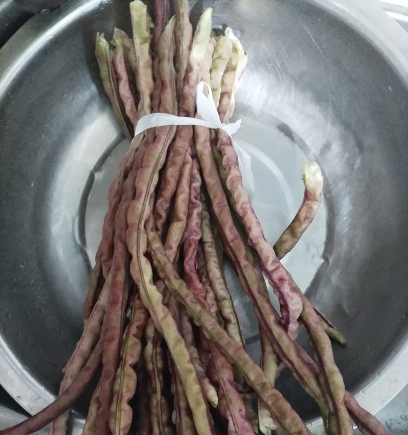 豆橛子的花语有何含义？