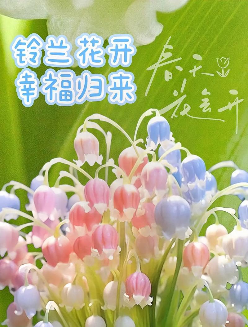 自由之爱花语含义何在？如何用花表达自由的爱？