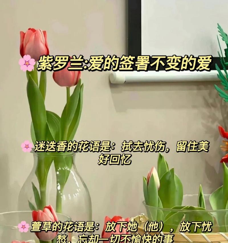 女朋友分享照片时花语有何寓意？