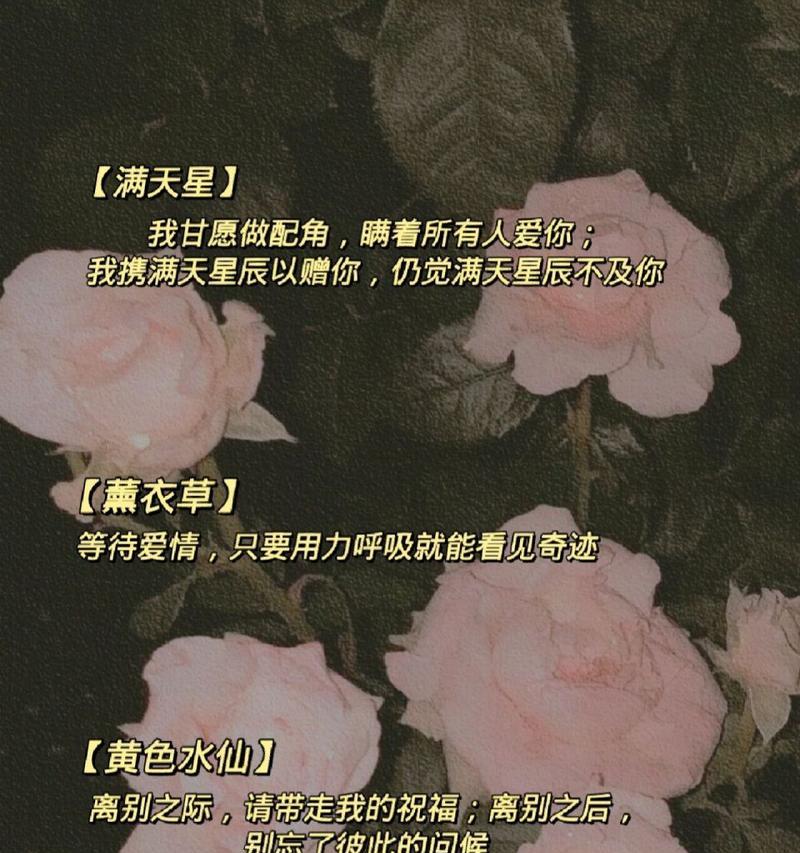女朋友分享照片时花语有何寓意？