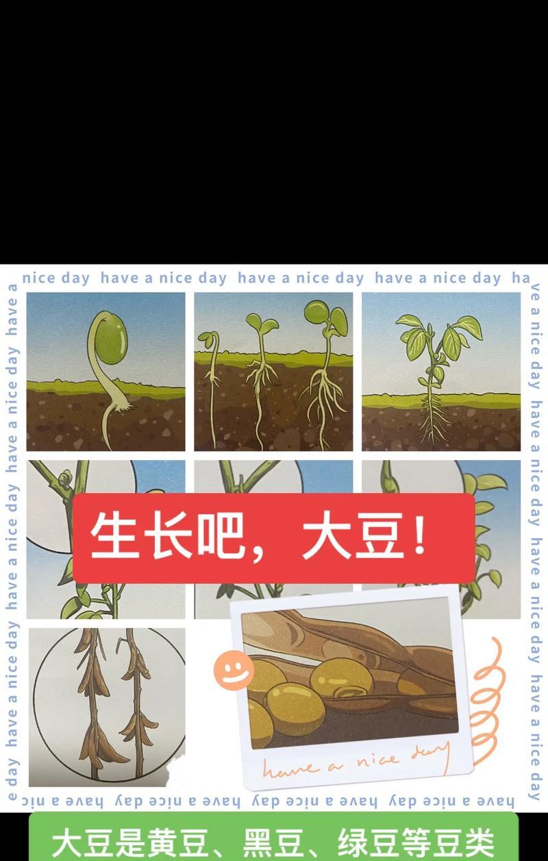 大豆的最佳种植时间是什么时候？种植大豆有哪些技巧？