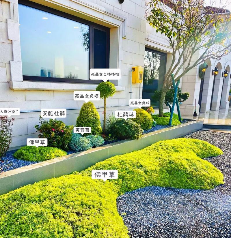 北方室外适合种植哪些花草？种植时应注意什么？