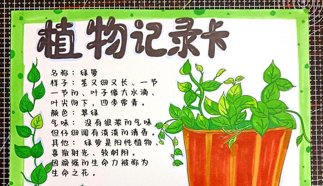 萝小花怎么种植？种植萝小花有哪些步骤？