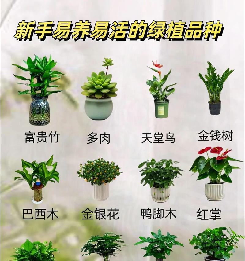 农田适合种植花卉吗？种植花卉有哪些好处？