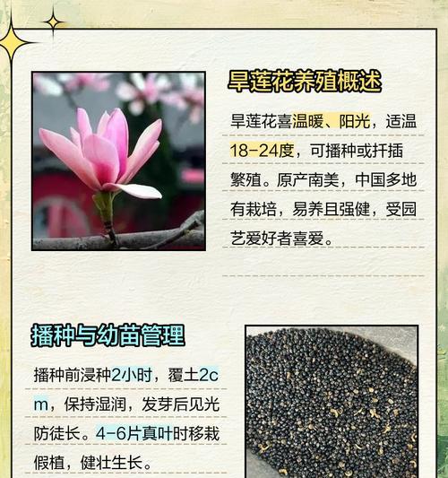 旱莲花播种的最佳温度是多少？播种旱莲花的适宜条件是什么？