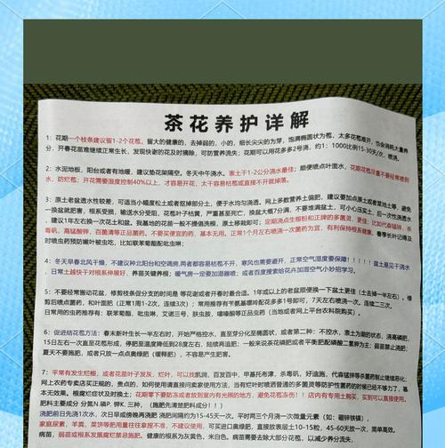 山茶花种植需要注意哪些事项？