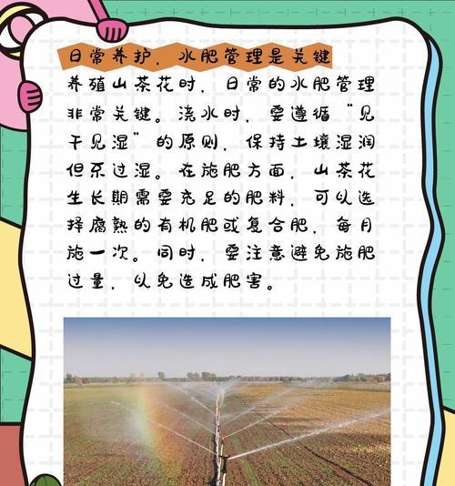 山茶花种植需要注意哪些事项？