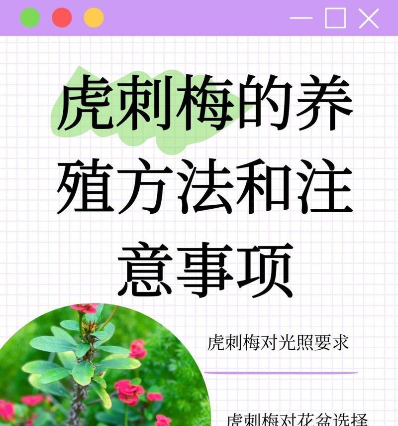 虎刺梅生长需要什么条件？如何快速促进虎刺梅生长？