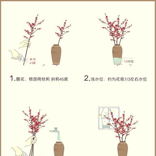 洼皮冬青怎样种植？种植过程中的注意事项有哪些？