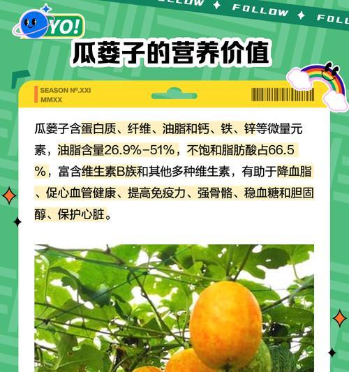 瓜蒌子种植几年可以收获？