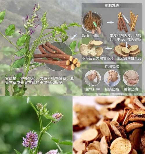 甘草哪里产的最好？如何辨别优质甘草？