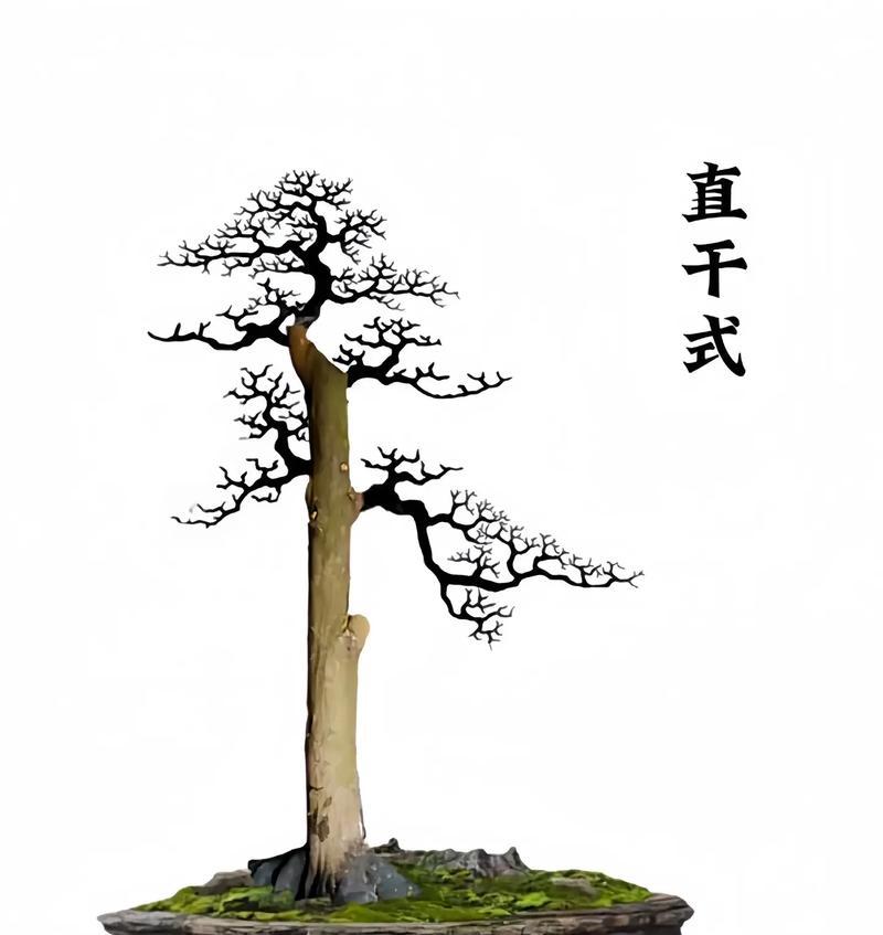 阿尔泰毛茛如何种植？种植阿尔泰毛茛的步骤是什么？