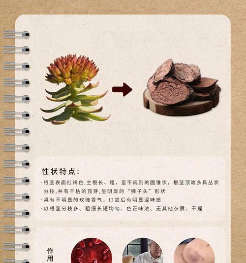 红叶景天怎么种？红叶景天的种植要点有哪些？